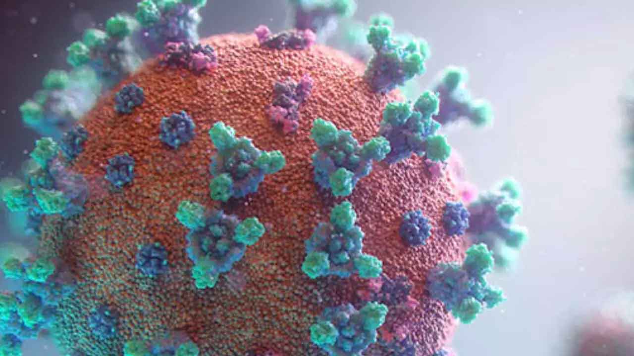 Wetland Virus | చైనాలో మరో కొత్త వైరస్‌.. మెదడుపై తీవ్ర ప్రభావం