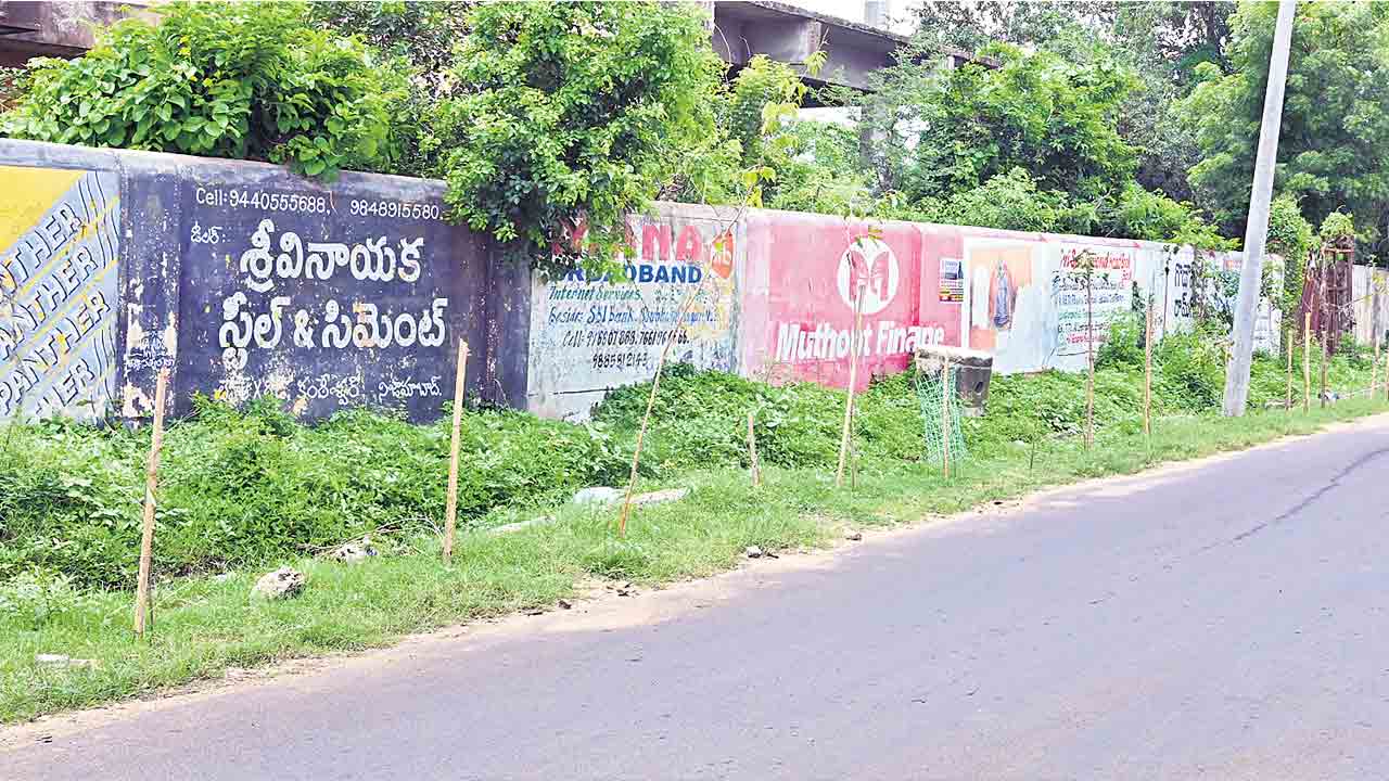 మొక్కలు మాయం కర్రలే దర్శనం