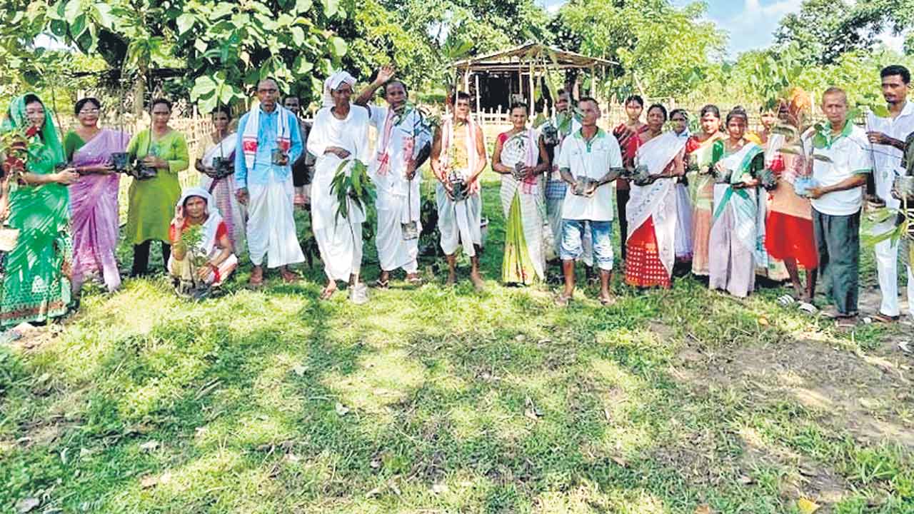 అసోంలో ‘గ్రీన్‌ ఇండియా చాలెంజ్‌’కు విశేష స్పందన