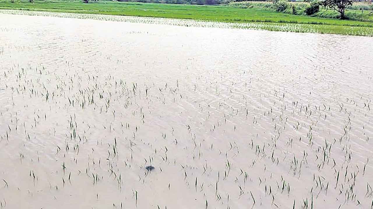 వర్షం మిగిల్చిన నష్టం.. సాయం కోసం రైతున్నల ఎదురుచూపులు..
