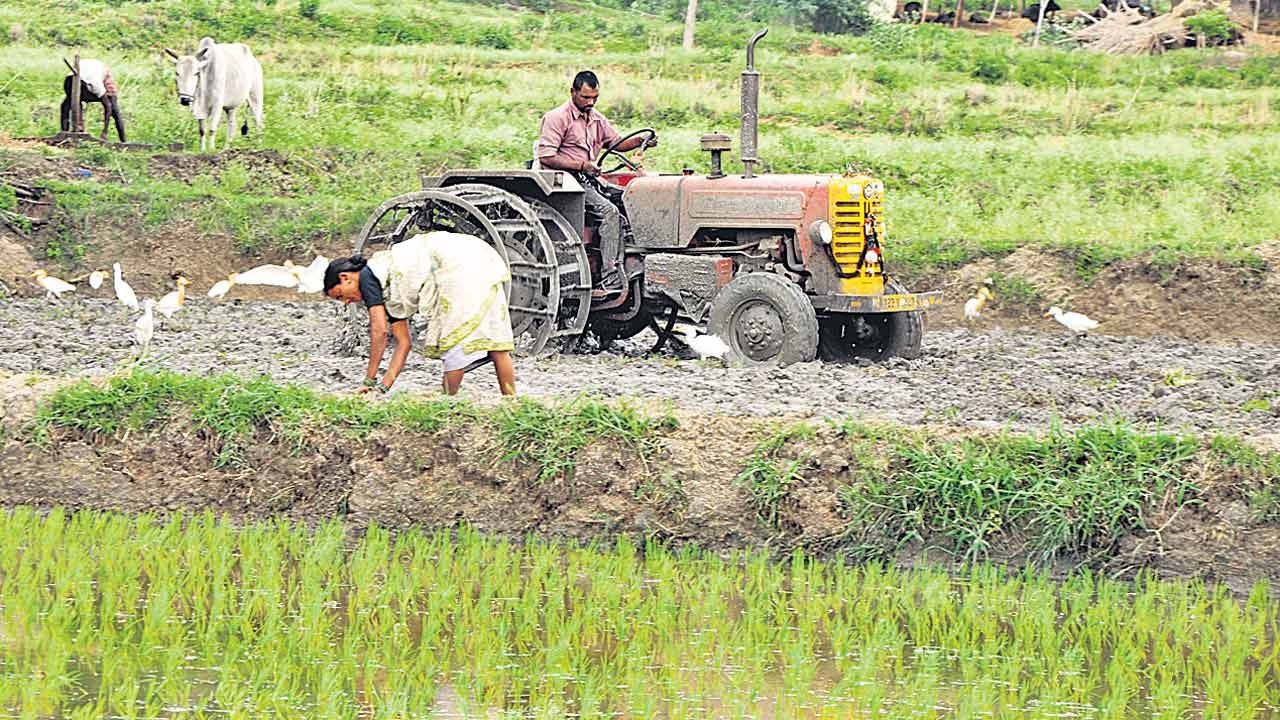 భరోసా లేక.. రుణం అందక..