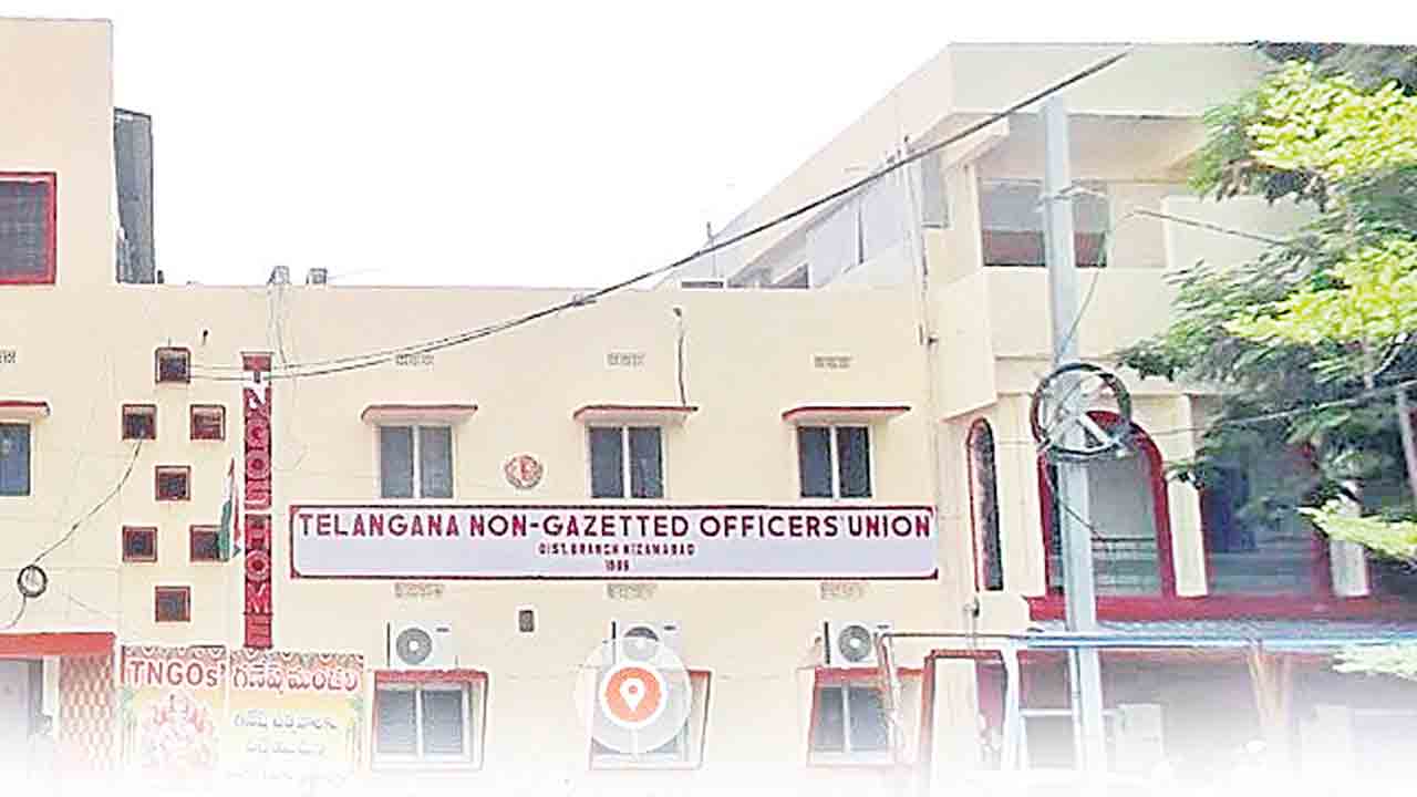 ఢీఎన్జీవో