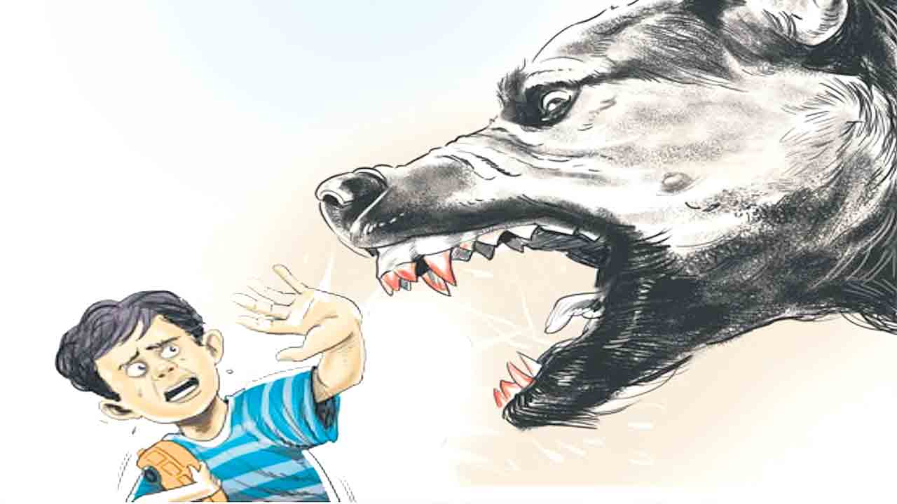 వీధికుక్కల వీరంగం