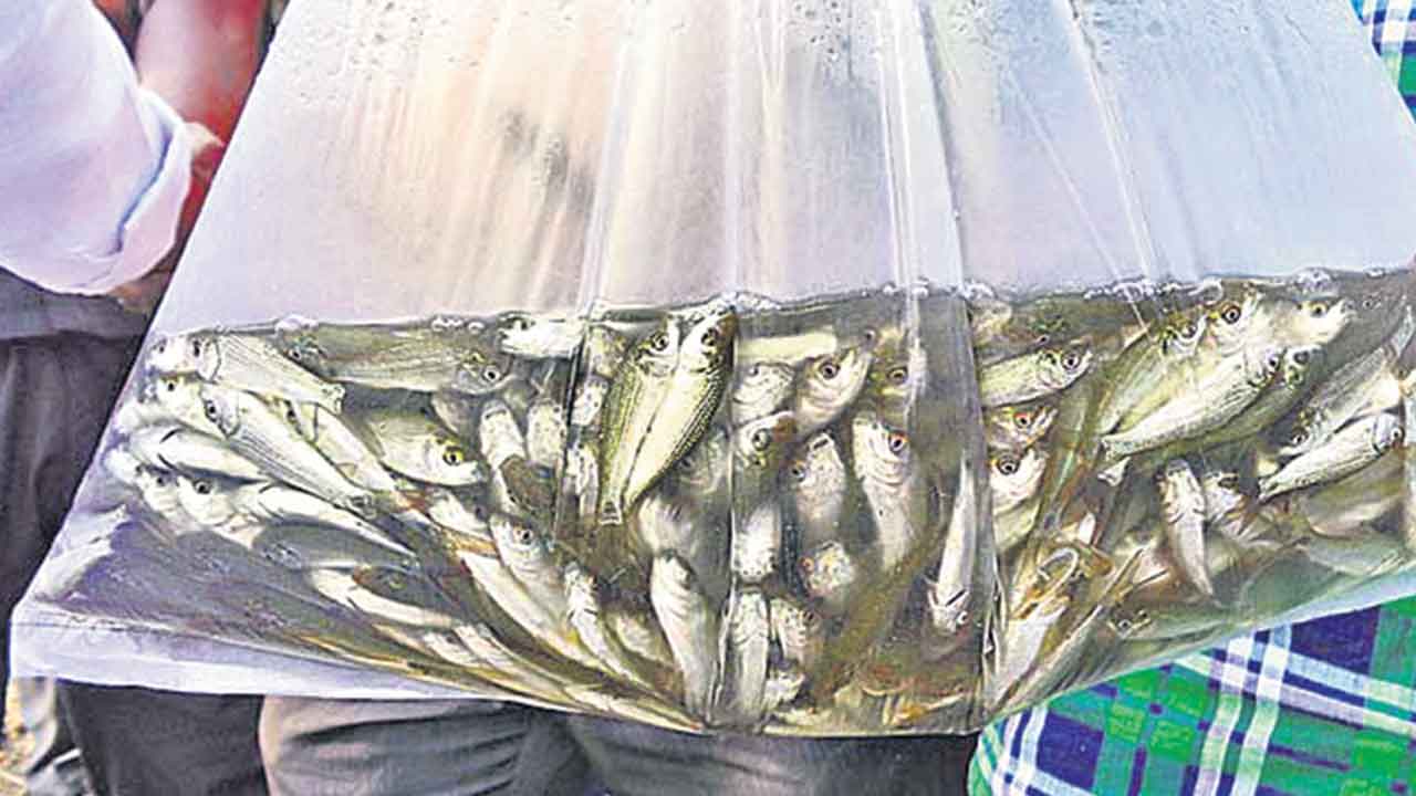 ఉన్నట్లా ..? లేనట్లా..?