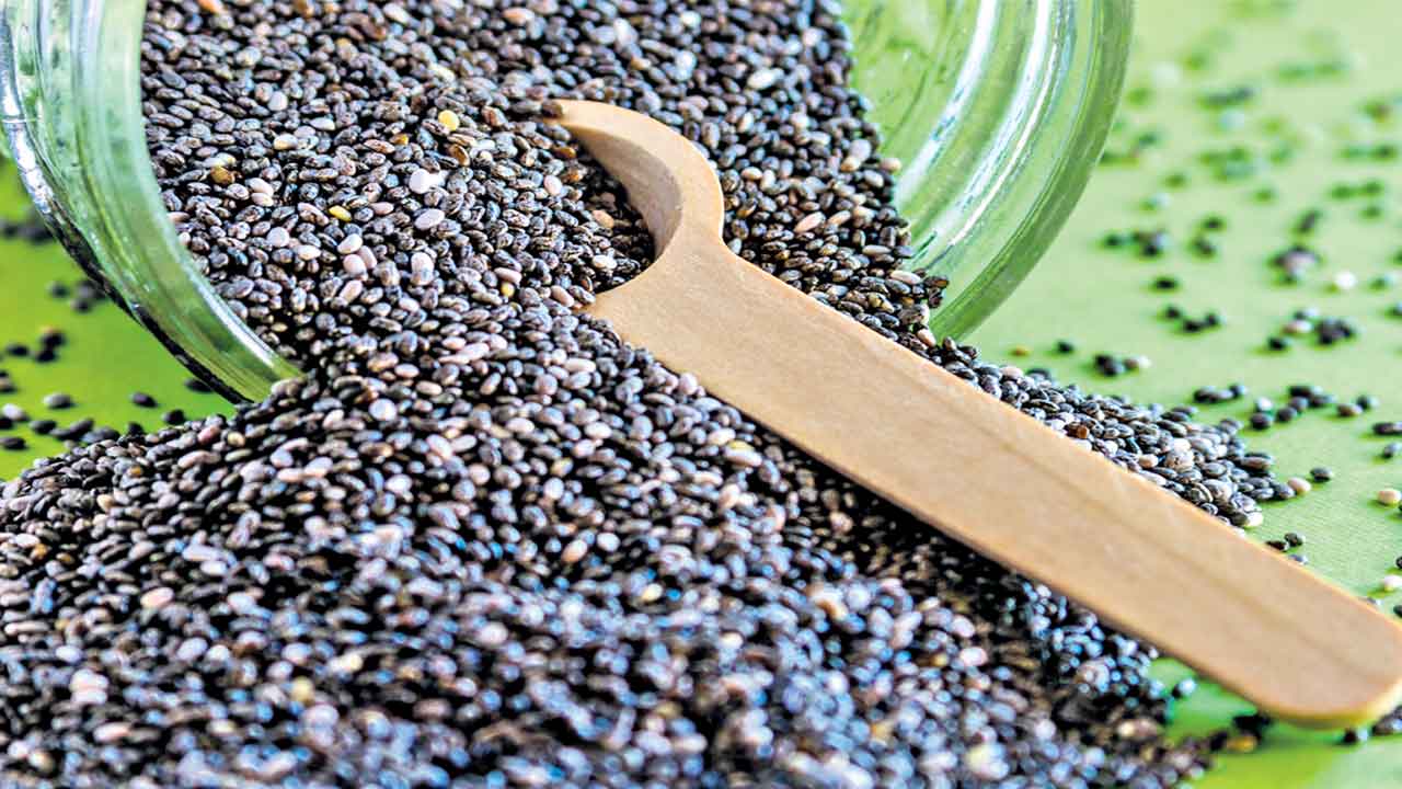 చియా.. లిమిట్‌లోనే