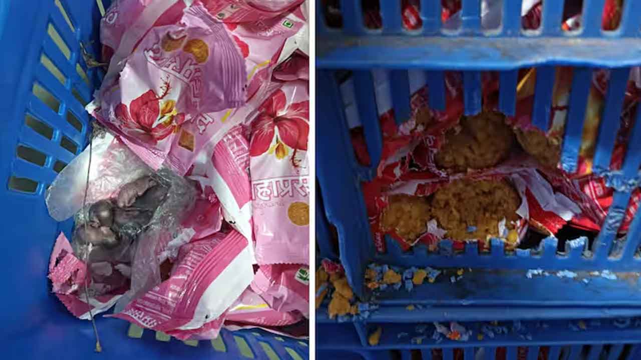 సిద్ధి వినాయక ఆలయ ప్రసాదంలో ఎలుకలు!