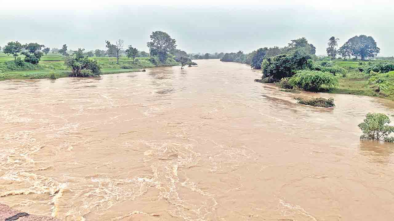 ఎడతెగని వాన