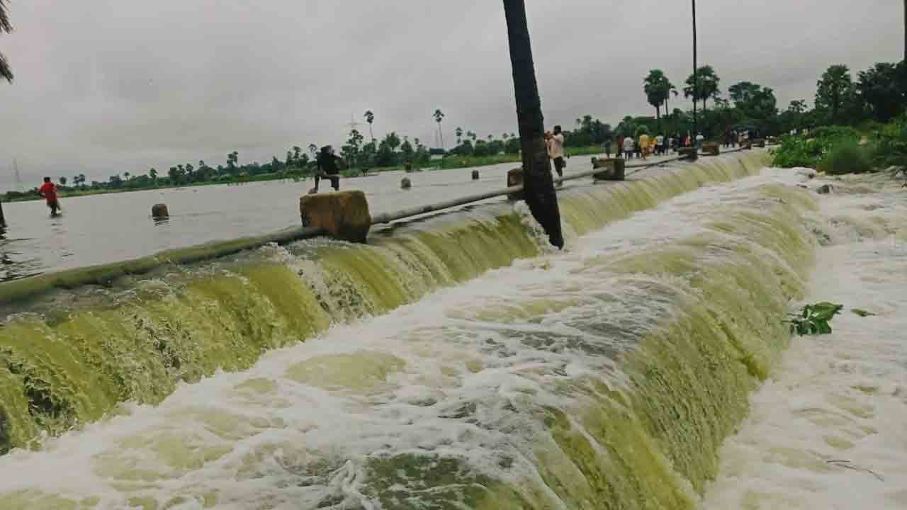 పంటలకు తీవ్ర నష్టం