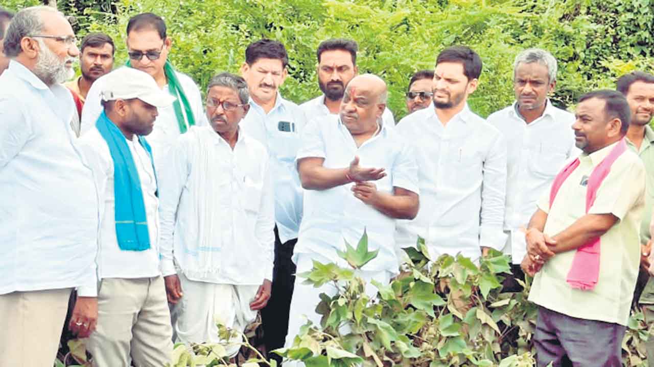 సహాయక చర్యల్లో గులాబీ సైన్యం