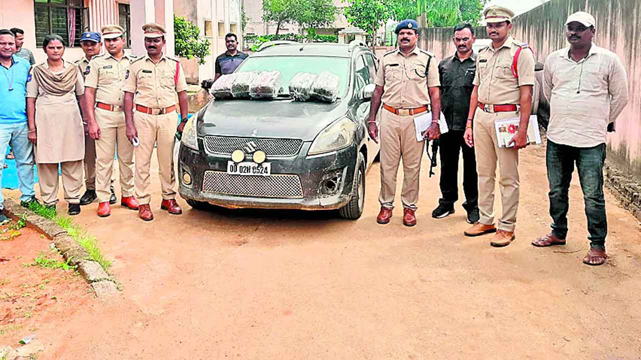 187 కిలోల గంజాయి పట్టివేత