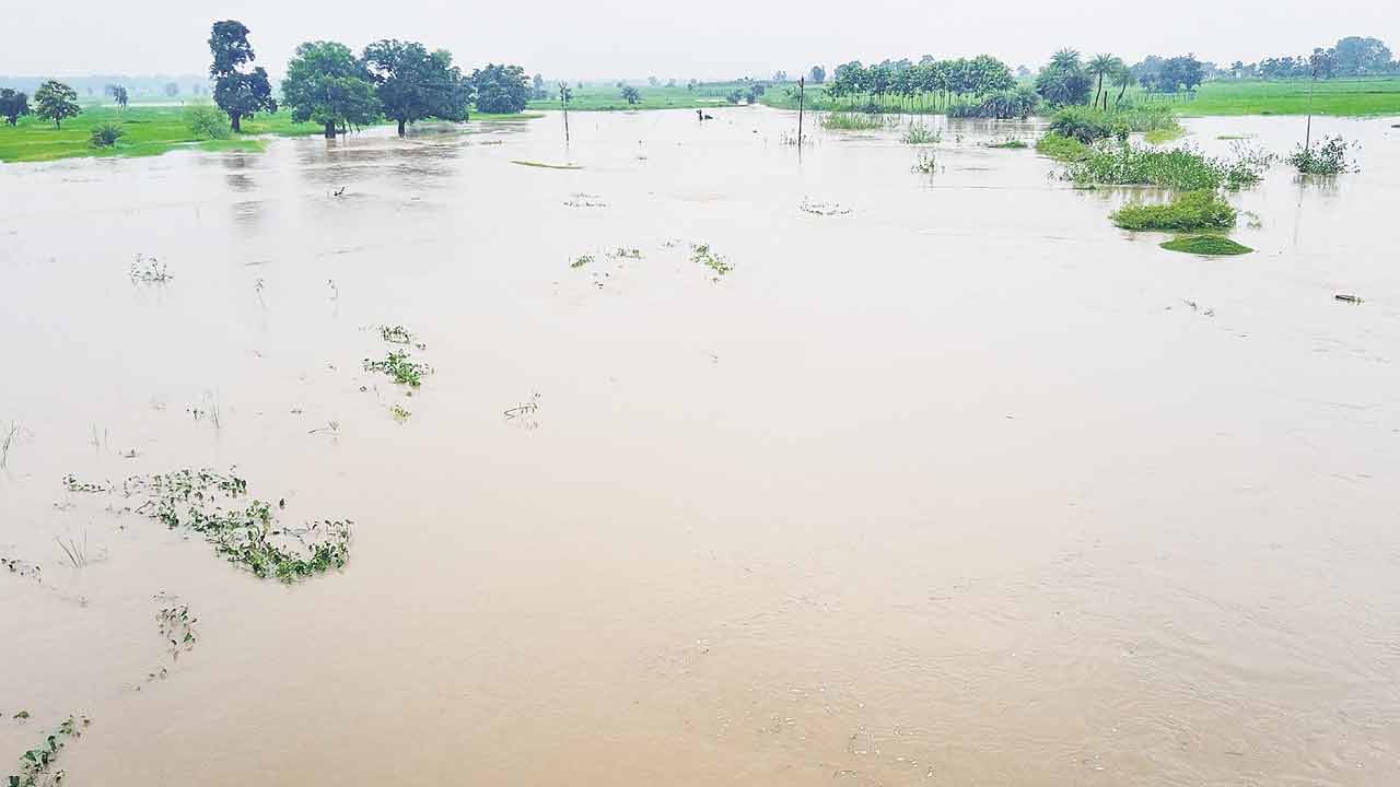 Adilabad