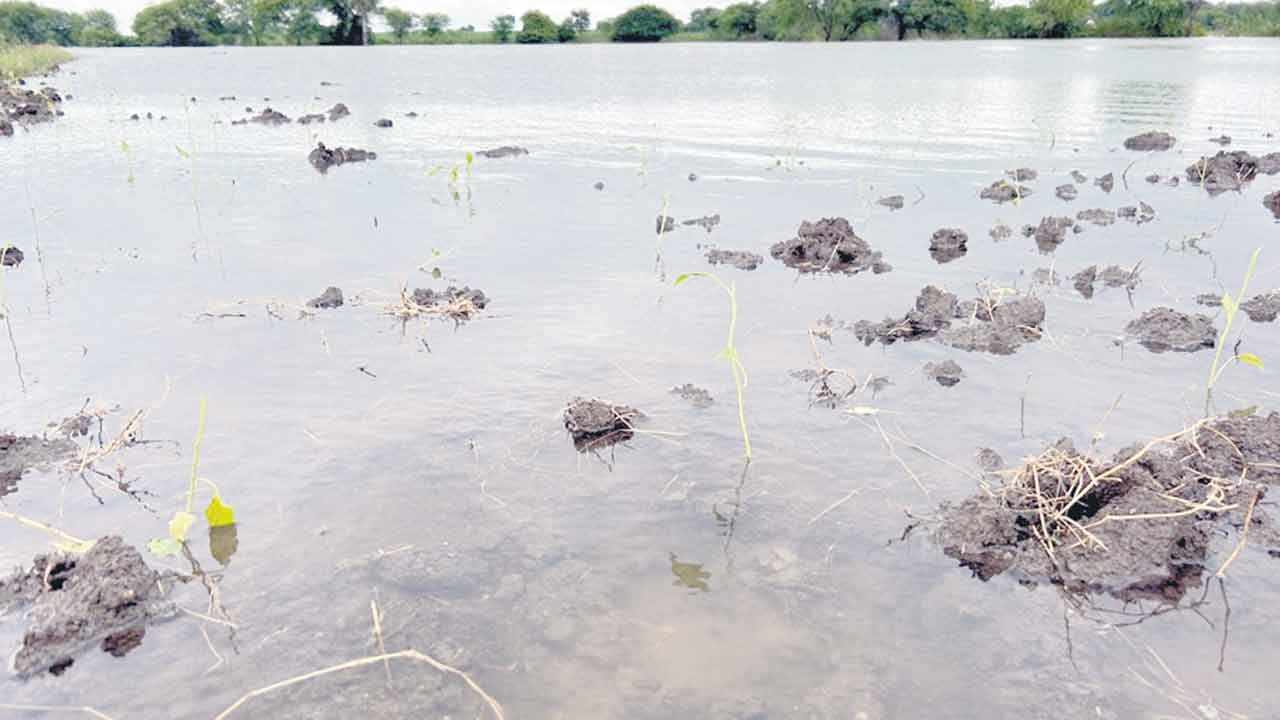 వాన..వరద..నష్టం