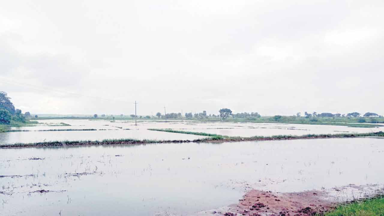 Adilabad6