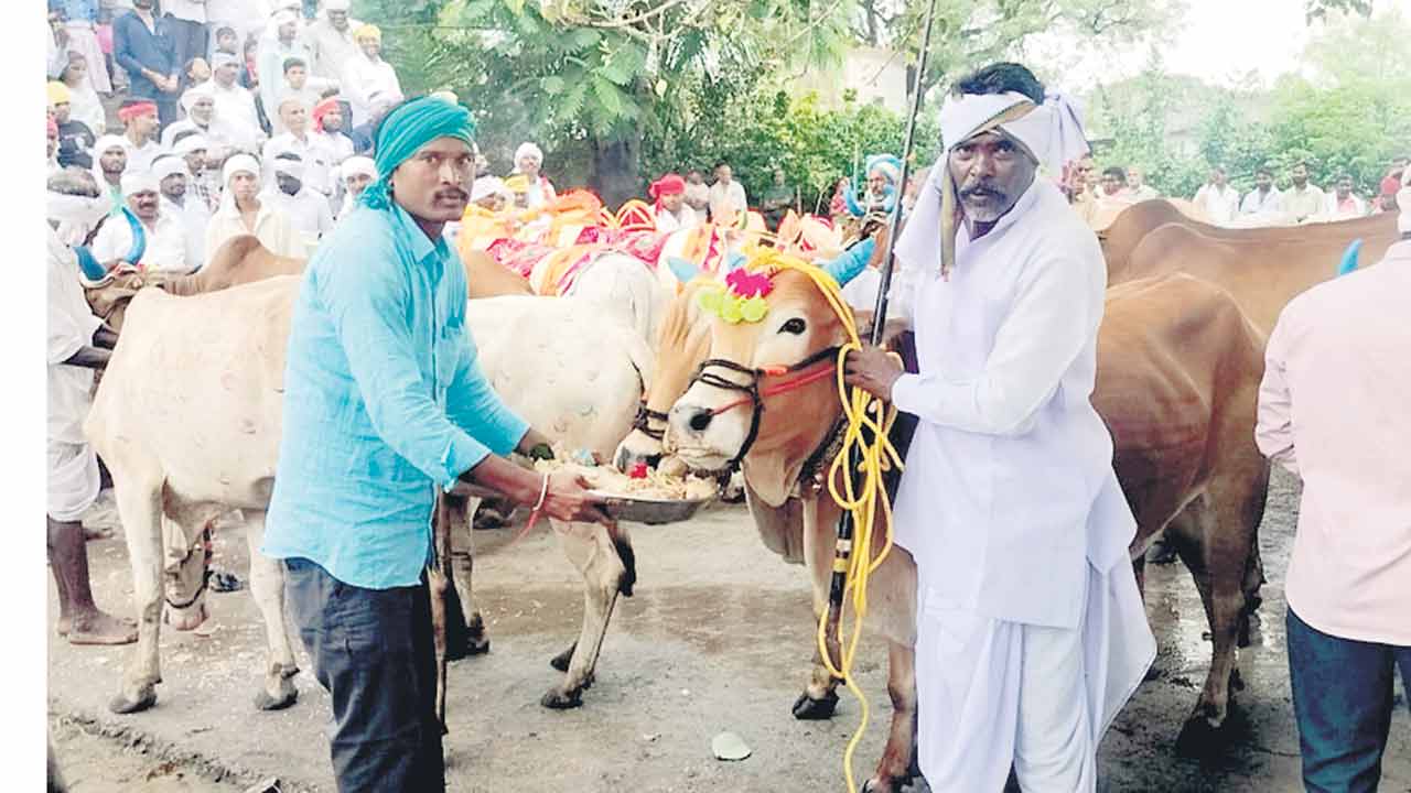 ఘనంగా పొలాల పండుగ