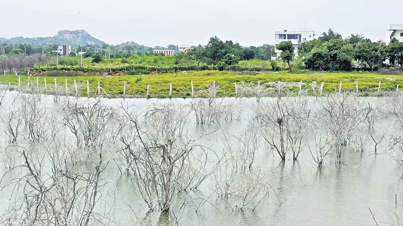 Kagazghat | అలీ చెరువు విలవిల్లా.. నిక్షేపమైన నీటి వనరును చెరపట్టిన రియల్‌ఎస్టేట్‌ సంస్థ!