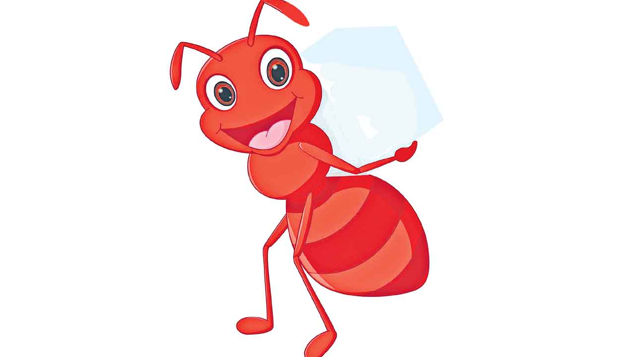 చీమ తెలివి