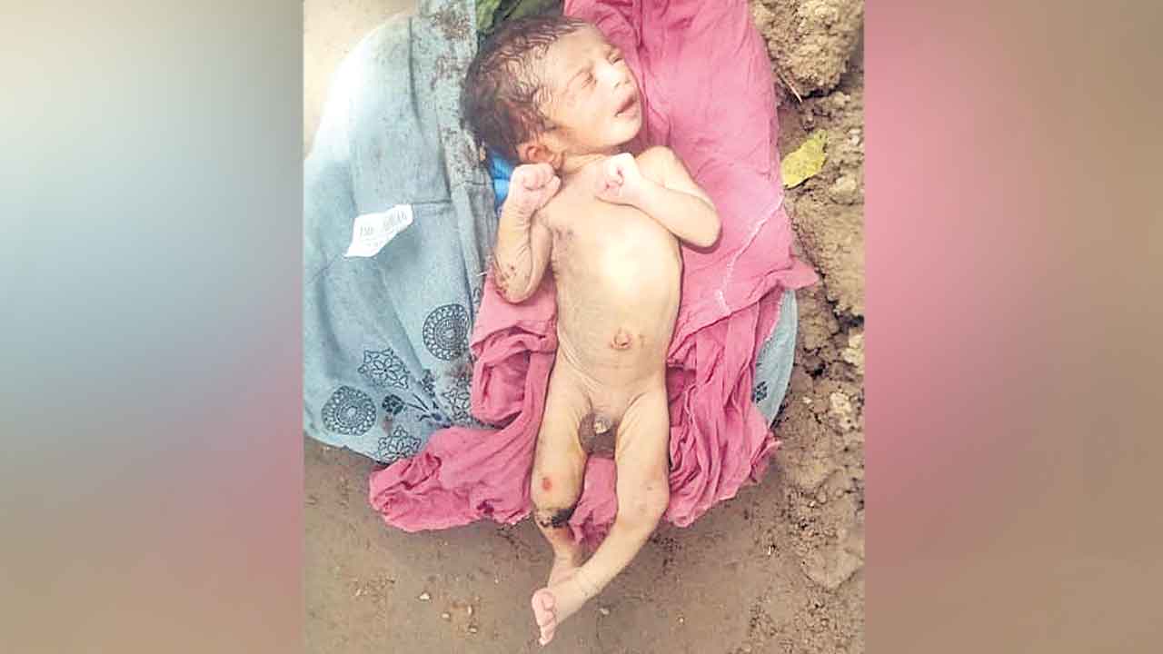 కాకతీయ కెనాల్‌ ఒడ్డున పసికందు లభ్యం