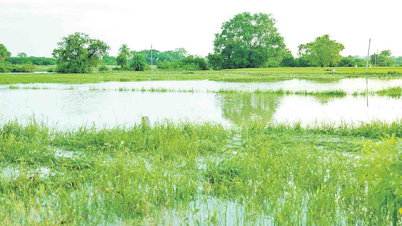 సంగారెడ్డి జిల్లాను వీడని వర్షాలు