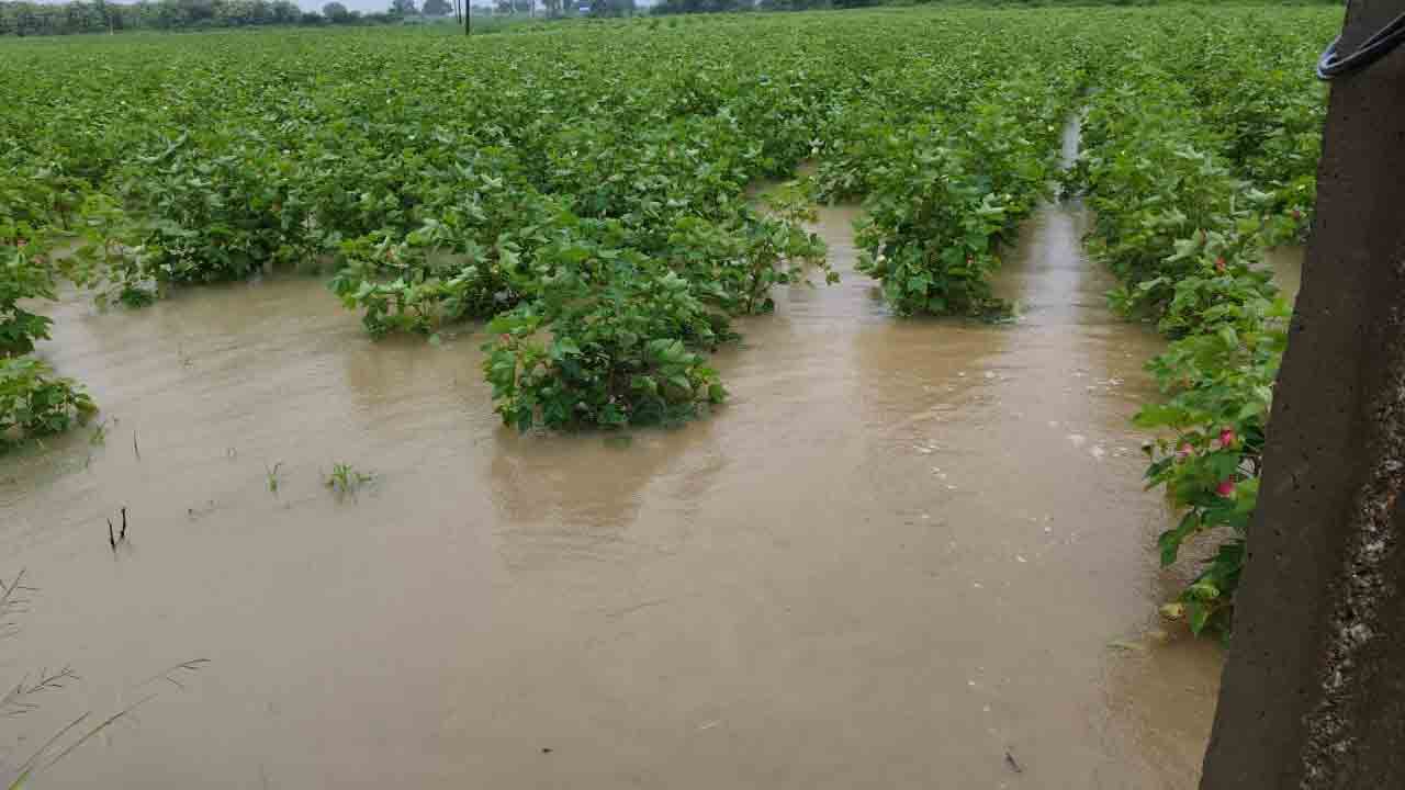 14,789 ఎకరాలు వరదపాలు
