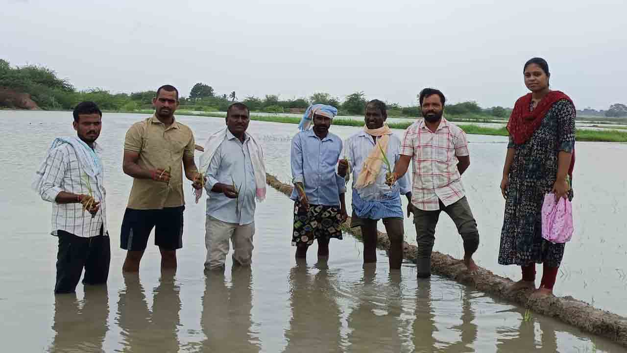 పరిహారం.. పరిహాసం !