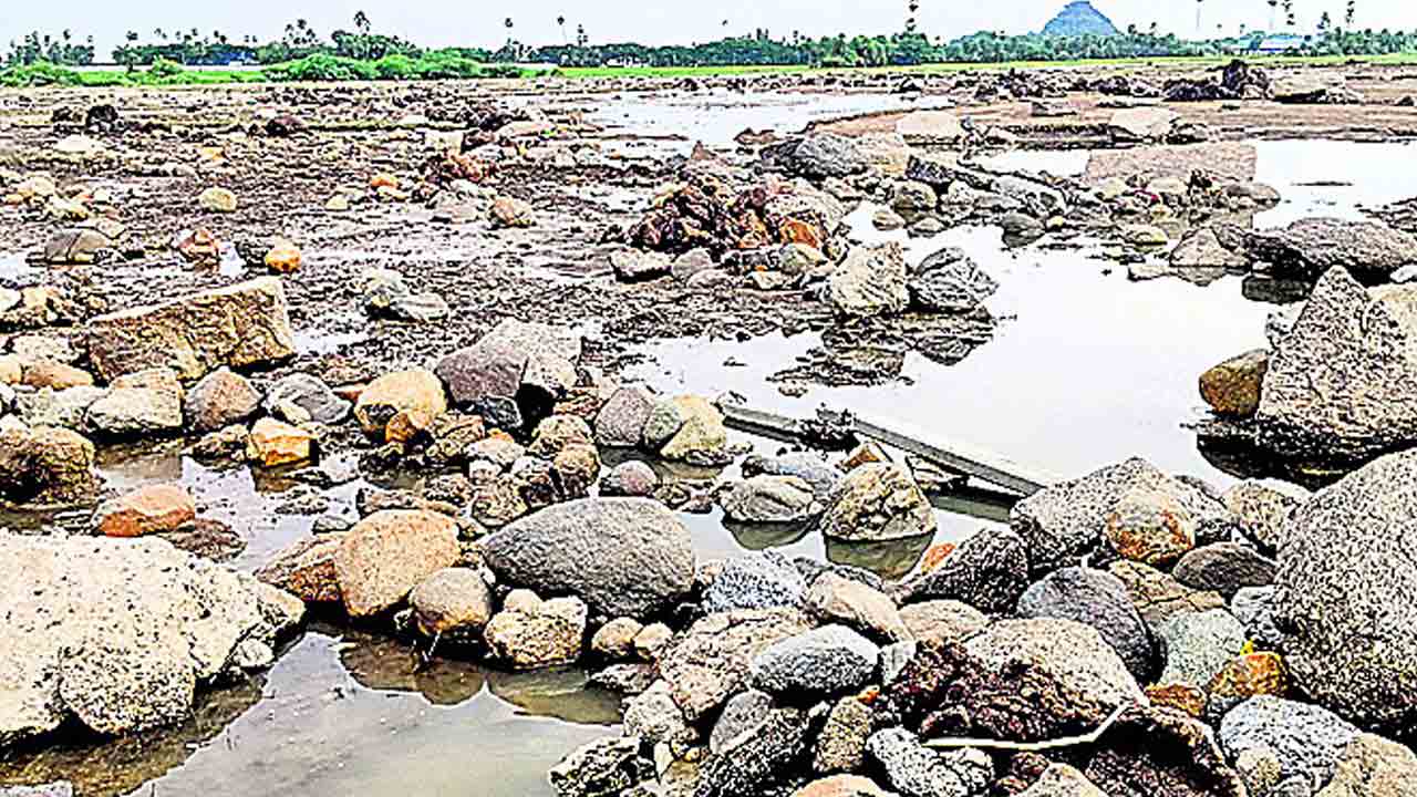 పొలాలను ముంచేసి రాళ్లతో నింపేసి..