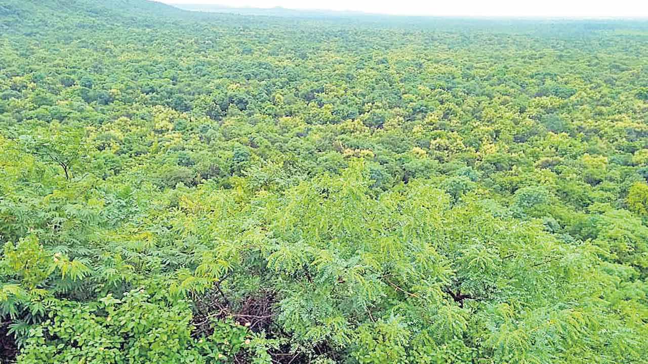 దామగుండం పోతే యమగండమే