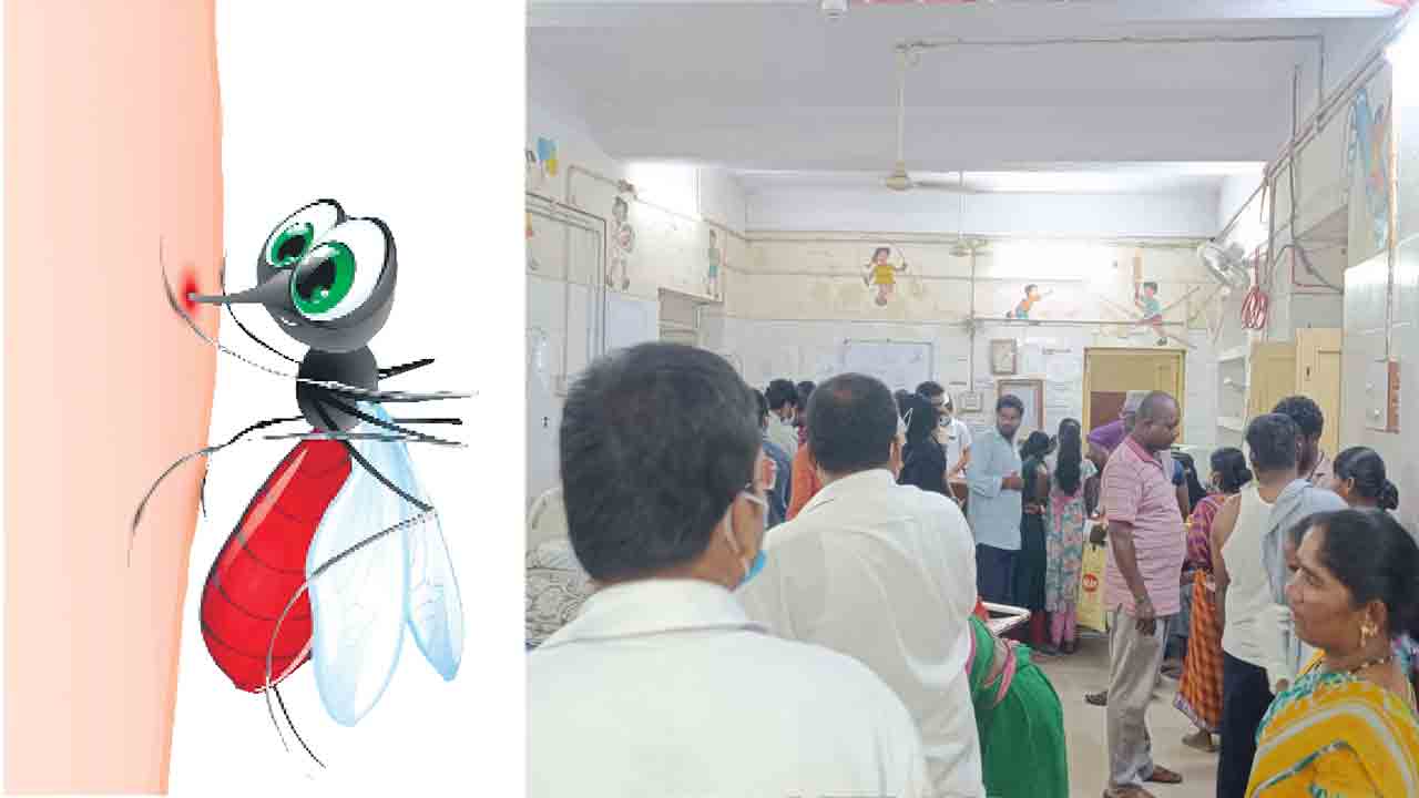 వణికిస్తున్న డెంగ్యూ