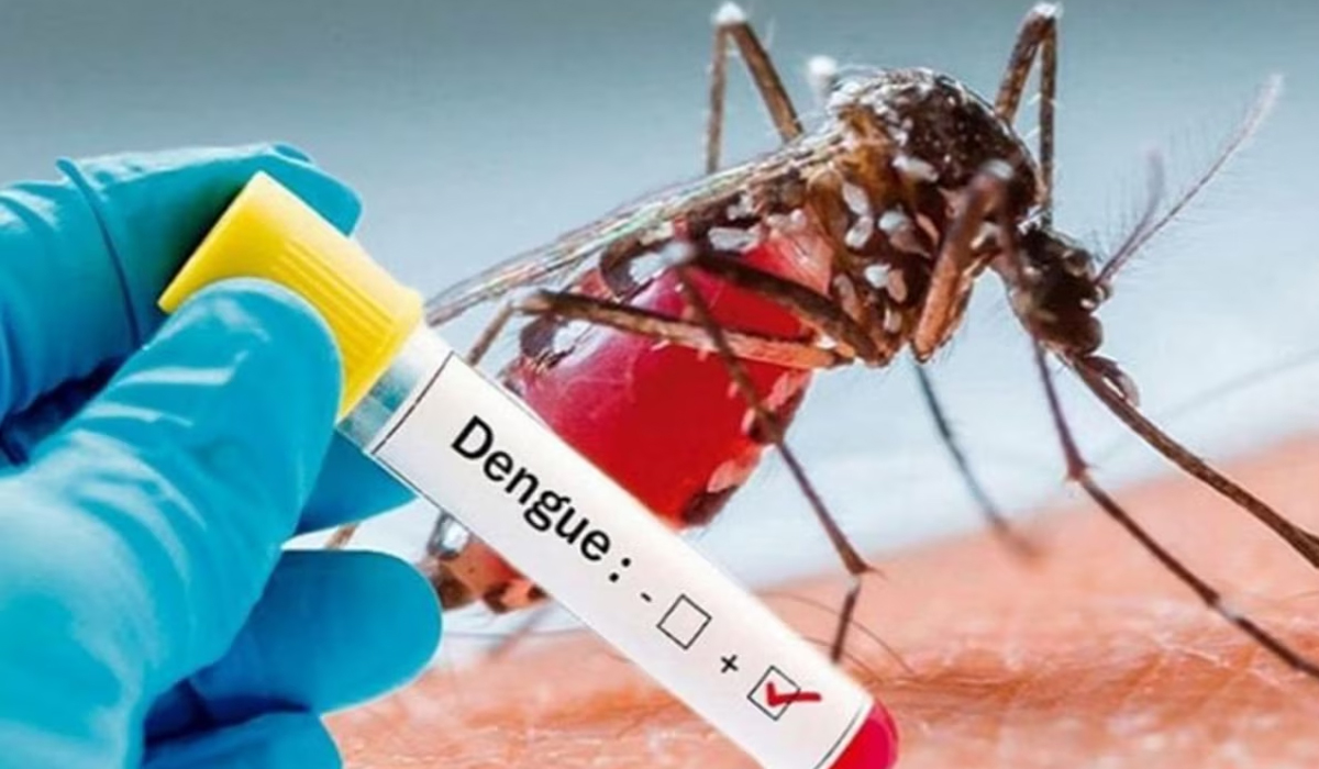 Health tips | డెంగ్యూ నుంచి త్వరగా కోలుకోవాలంటే.. ఈ ఫుడ్‌ ఐటమ్స్‌ తప్పక తీసుకోవాల్సిందే..!