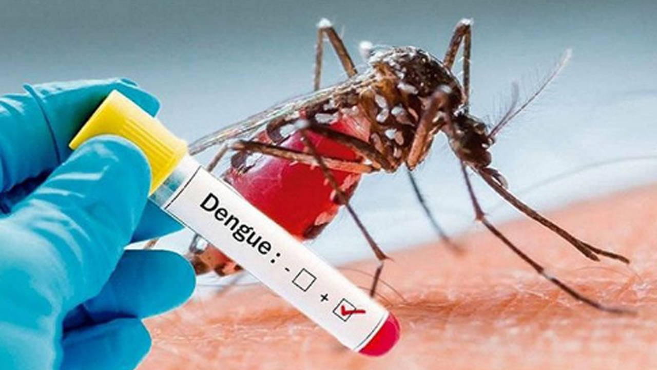 Dengue | డెంగ్యూని ఎపిడెమిక్‌గా ప్రకటించిన కర్ణాటక సర్కారు..