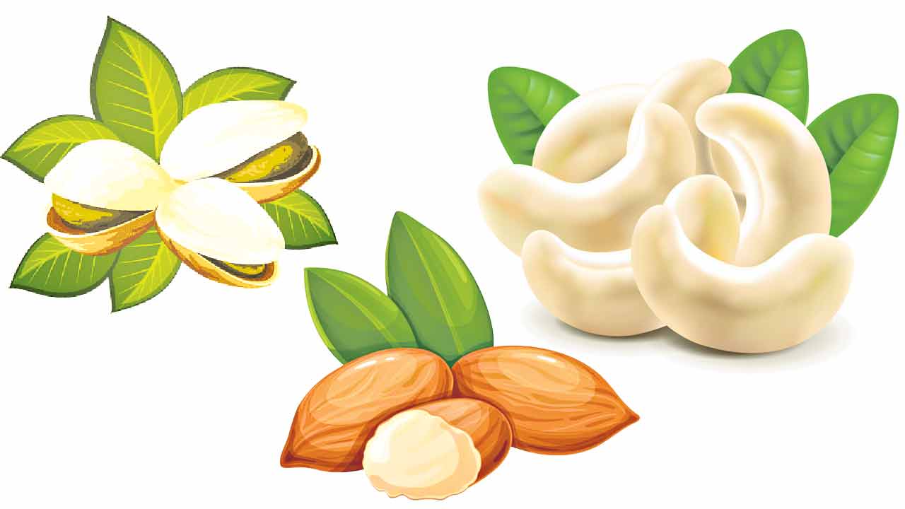 డ్రైప్రూట్స్‌ నానబెట్టాలా