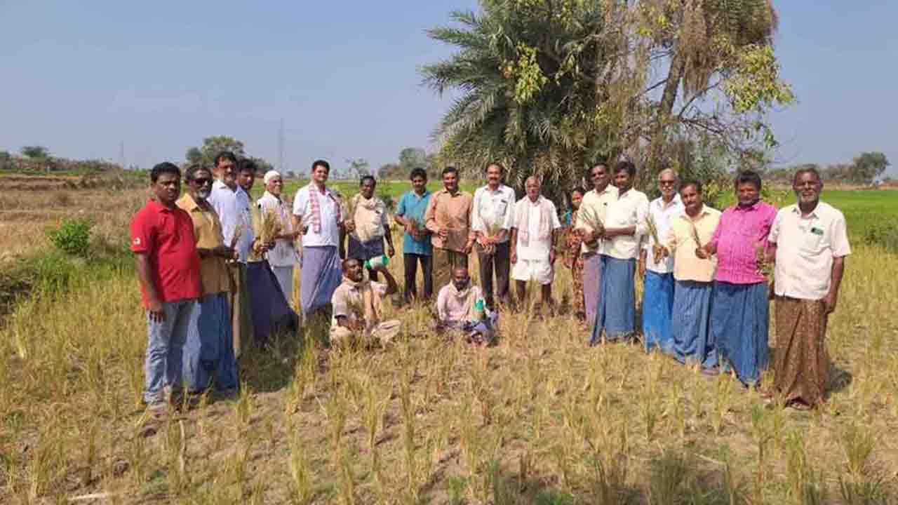 నీళ్లు విడుదల చేయాలని రైతుల ఆందోళన