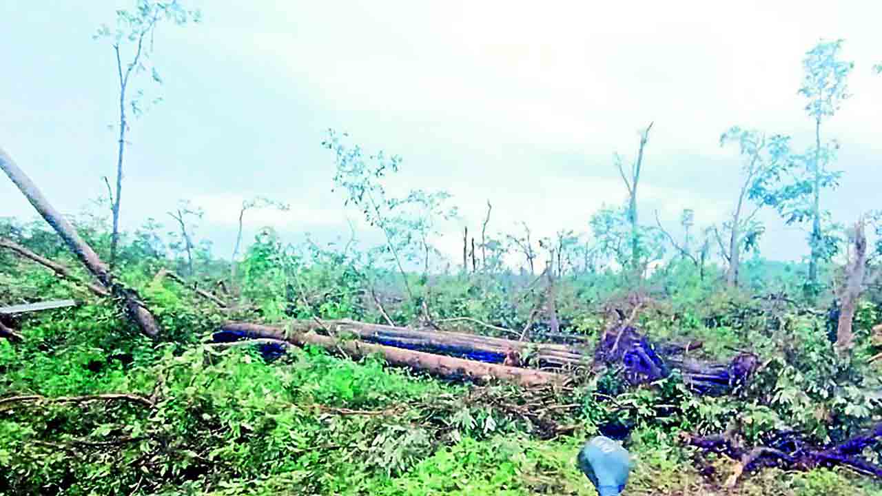 డౌన్‌ బరస్ట్‌ వల్లే..