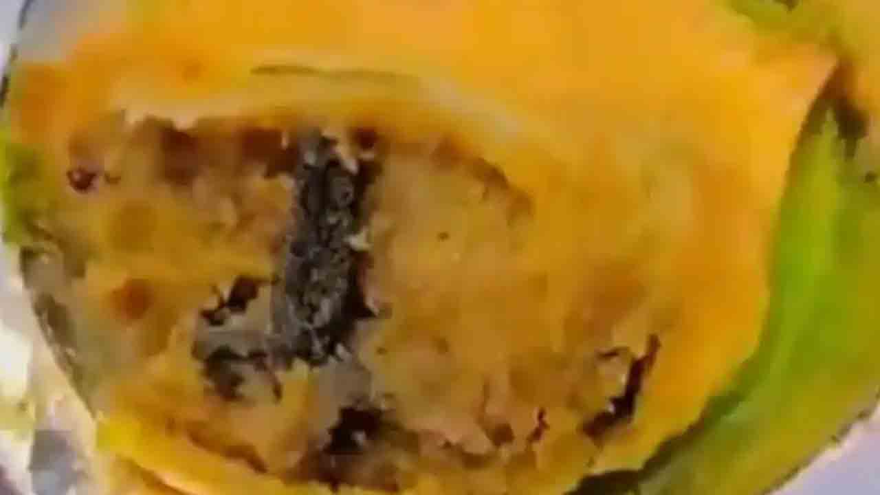 Samosa | సమోసాలో కప్ప కాలు దర్శనం.. షాకైన కస్టమర్‌..! వైరల్ వీడియో