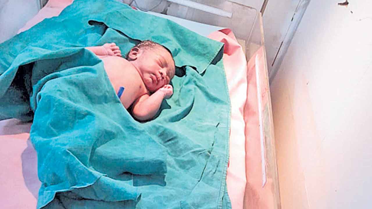 ముళ్ల కంపల్లో పురిటి శిశువు