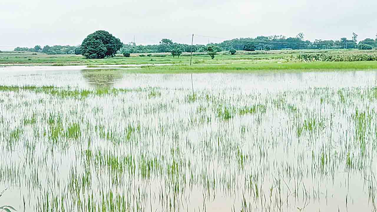 కన్నీటి వర్షం