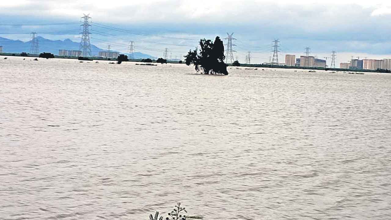 భారీ వర్షాలతో ఏపీ అతలాకుతలం