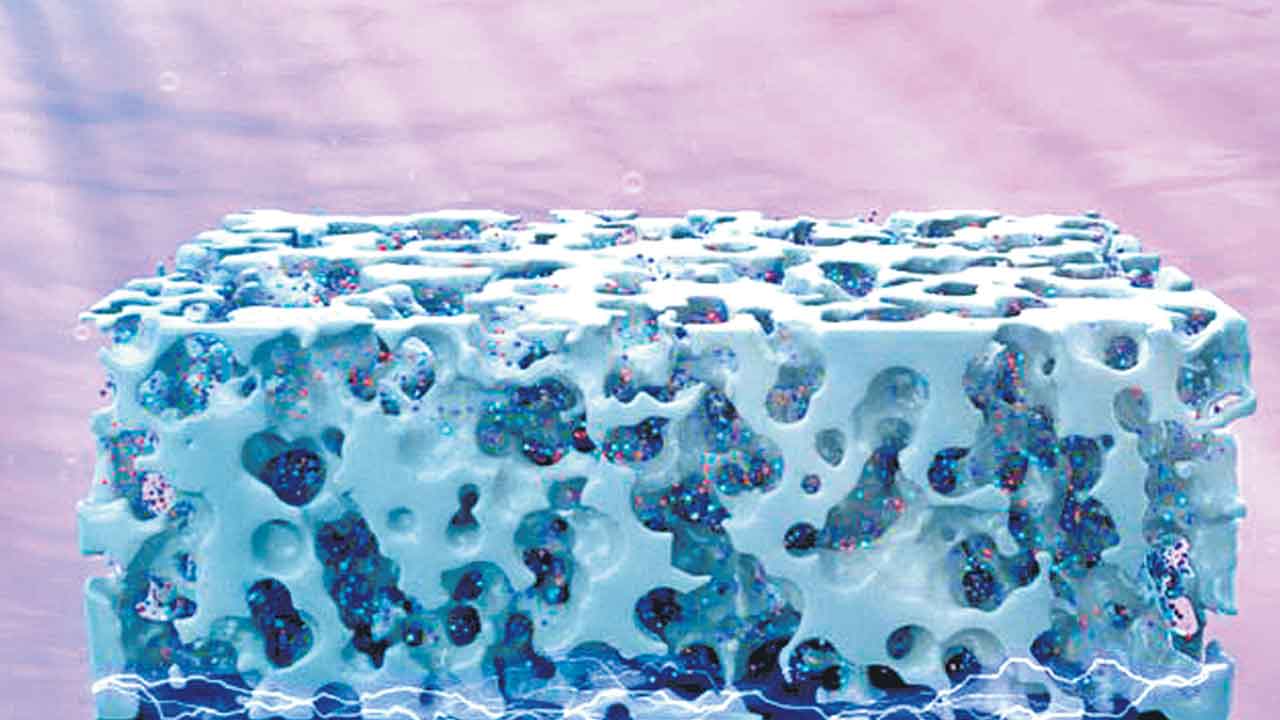 కార్బన్‌ డయాక్సైడ్‌ నుంచి ఇంధనం!