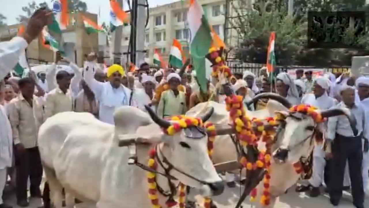 Haryana elections | ఎడ్లు, నాగలితో ఎన్నికల రిటర్నింగ్‌ ఆఫీస్‌కు ఇండిపెండెంట్‌ అభ్యర్థి.. Video viral