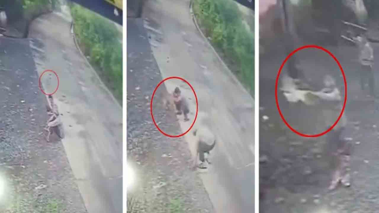 Watch: ఇద్దరు వ్యక్తులపై నక్క దాడి.. తర్వాత ఏం జరిగిందంటే?