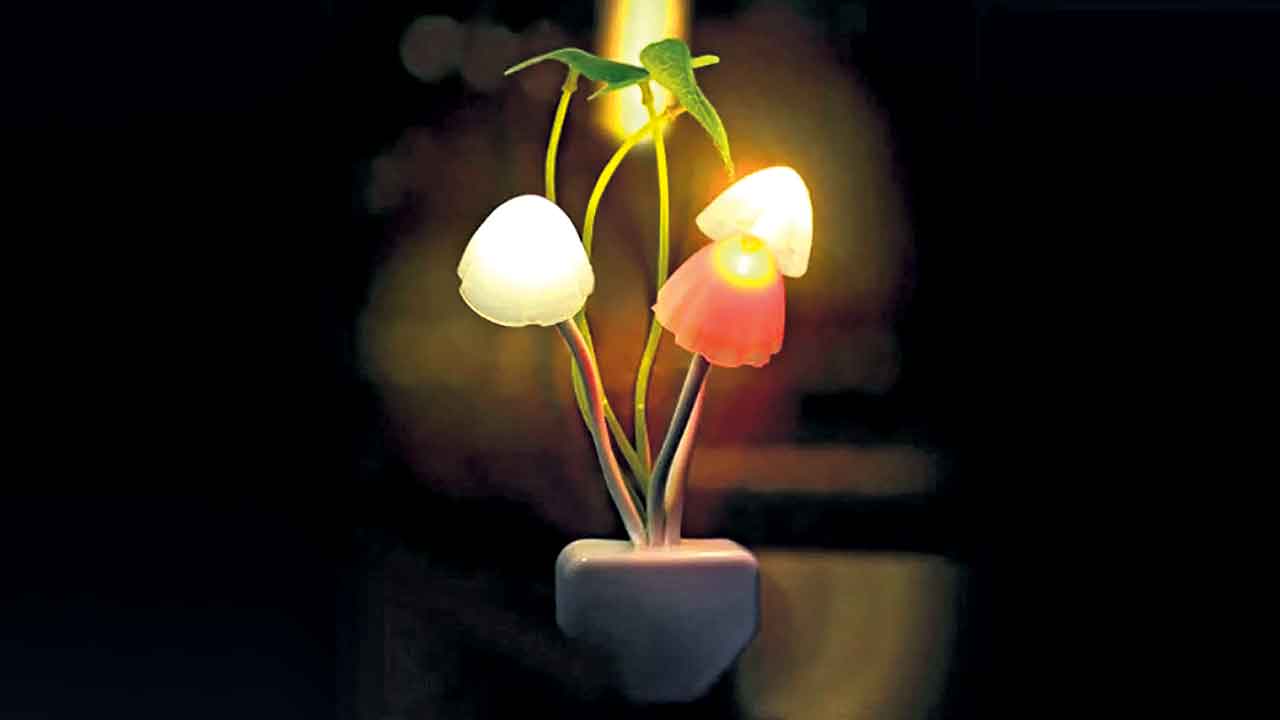 Led Lights