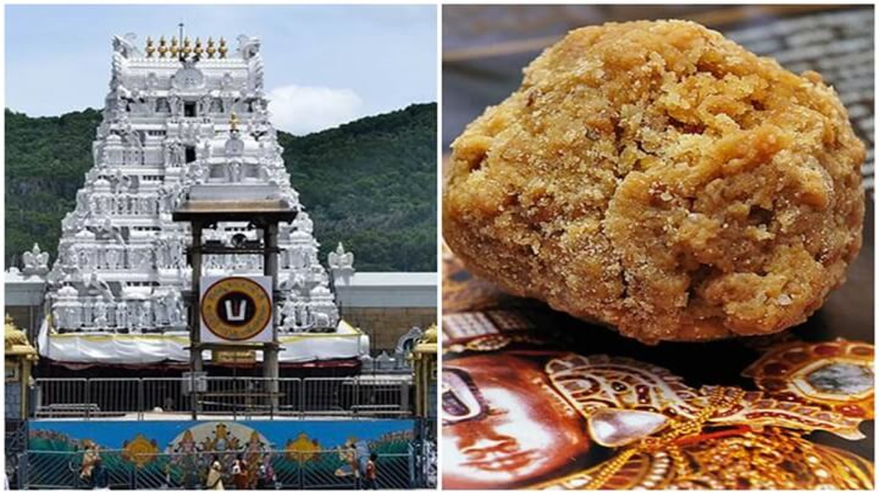 Tirumala Laddu | తిరుమల వెంకన్న లడ్డూలో జంతువుల కొవ్వులు..! ల్యాబ్‌ నివేదికను విడుదల చేసిన టీడీపీ నేత ఆనం..!