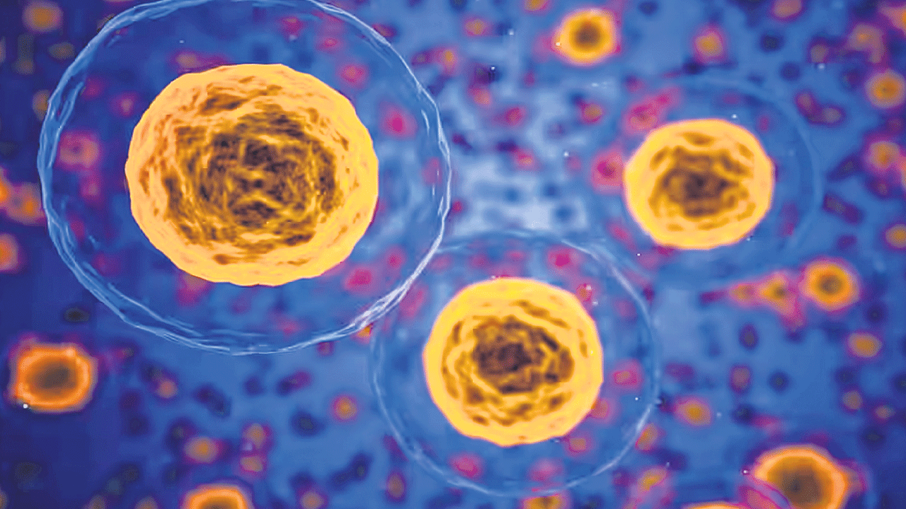 Third State | జీవి మరణించినా ప్రాణంతోనే కణాలు..!