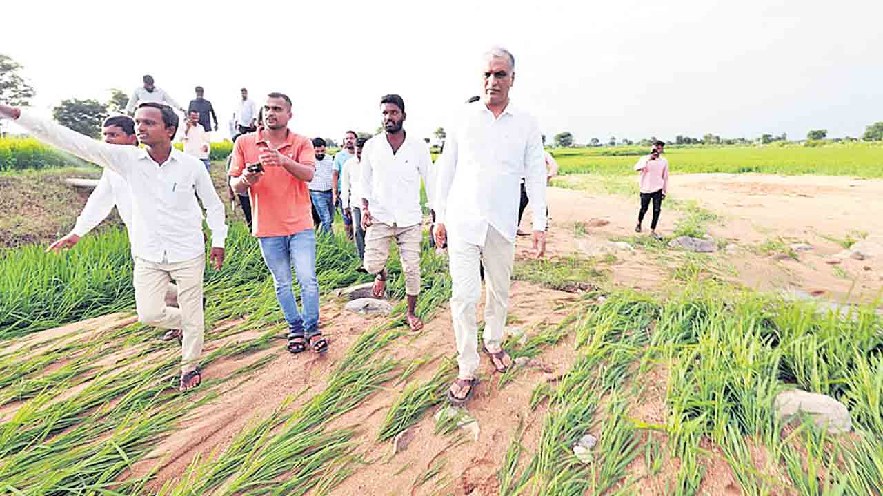 పంట నష్టపోయిన రైతులను ఆదుకోవాలి