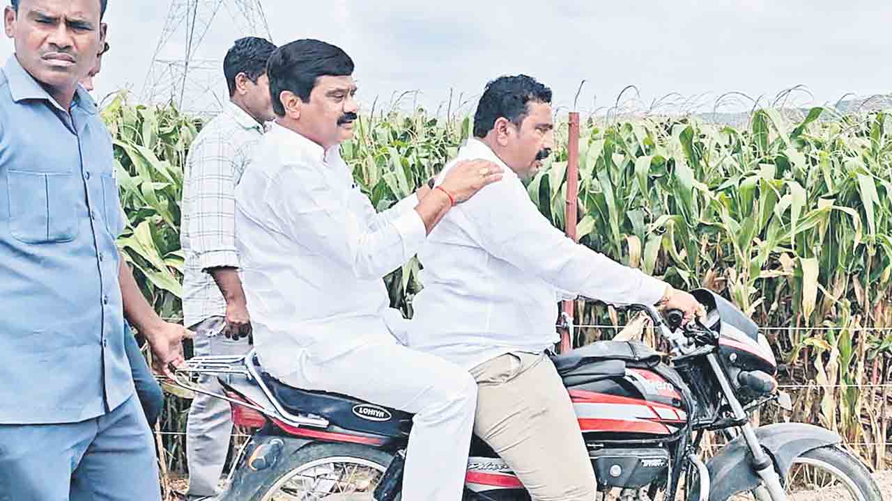 నష్టంపై ప్రభుత్వానికి నివేదించాలి