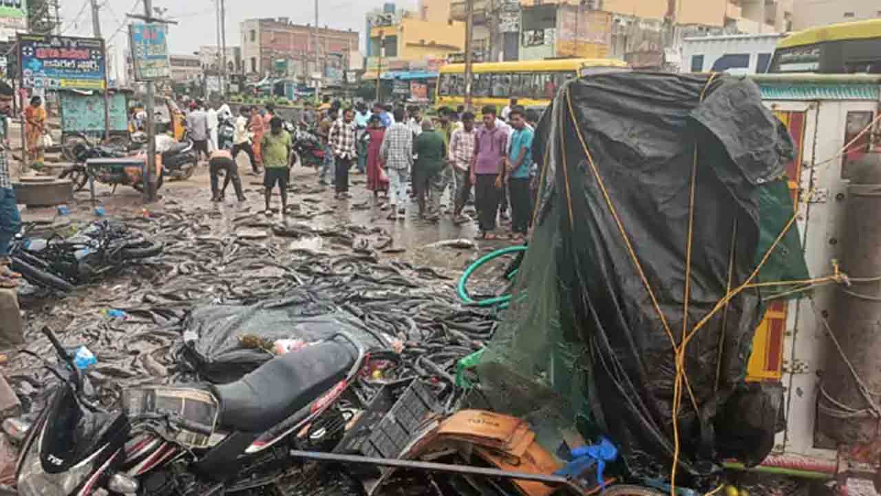 Live Fish Lorry | చేపల లోడు లారీ బోల్తా.. లైవ్‌ ఫిష్‌ కోసం ఎగబడిన జనం