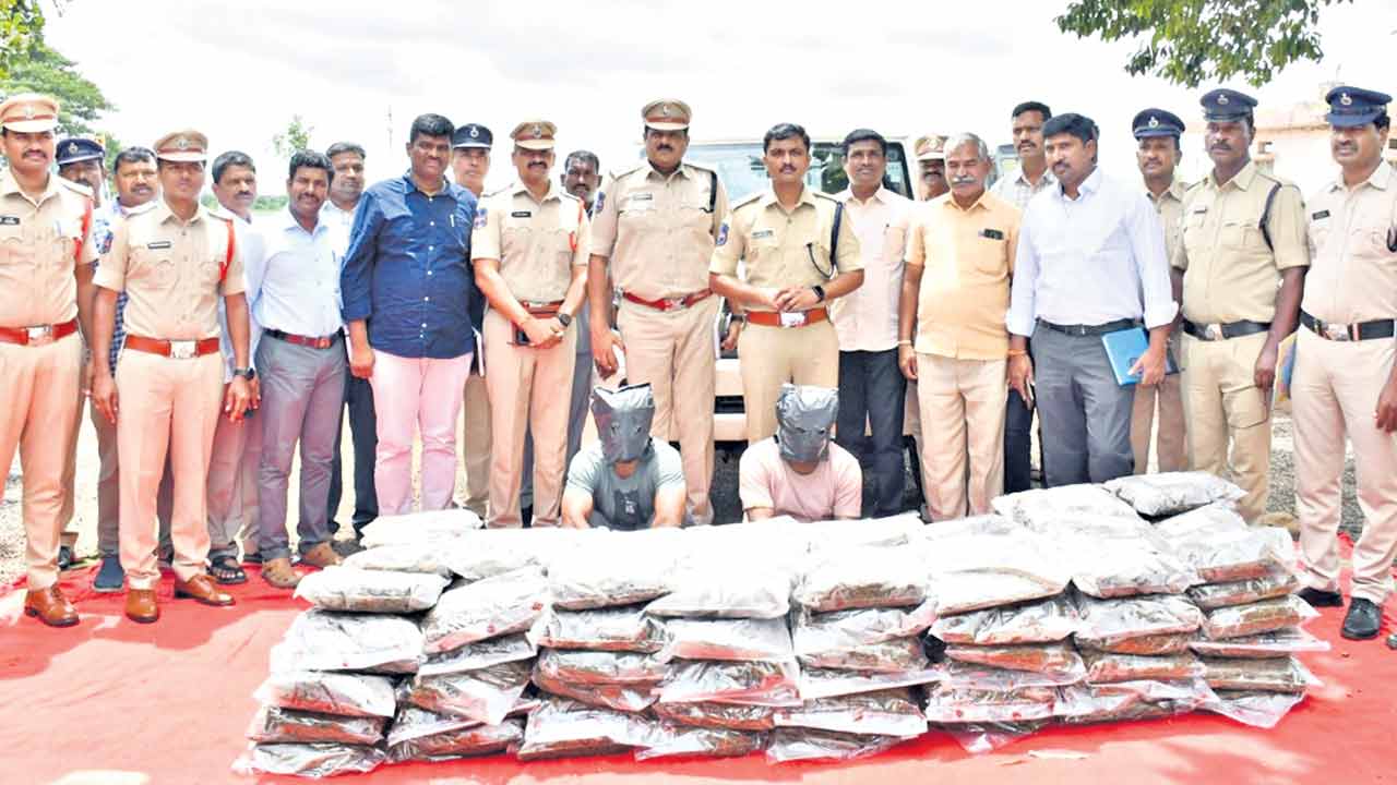 గంజాయి అక్రమ రవాణాపై ఉక్కుపాదం