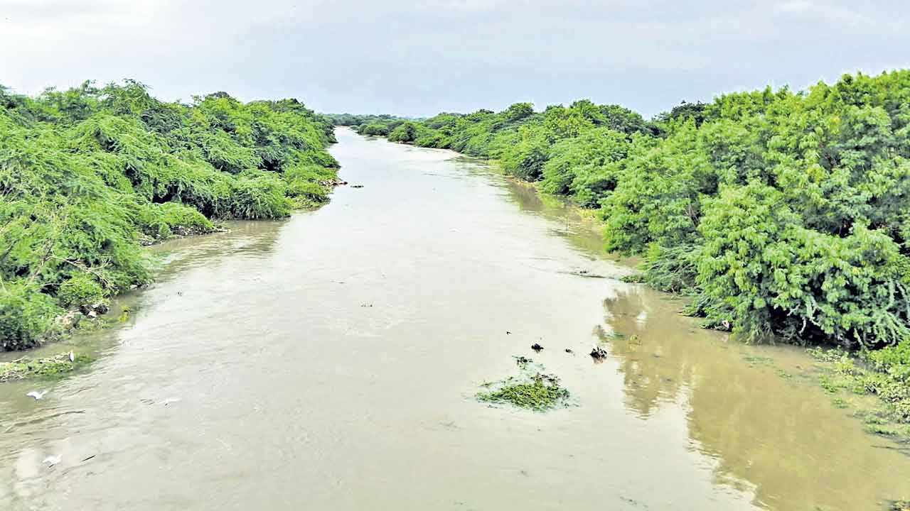 పొంగిపొర్లుతున్న చెరువులు, కుంటలు