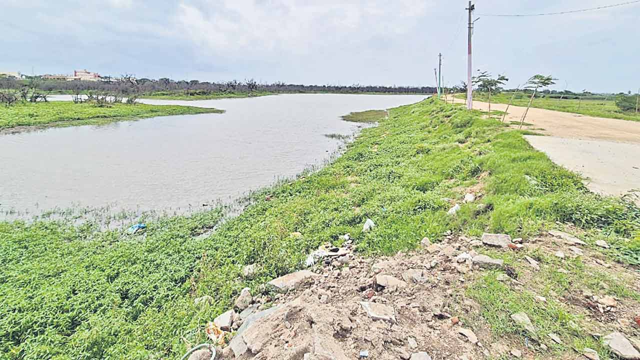 కనుమరుగవుతున్న కుడిచెరువు