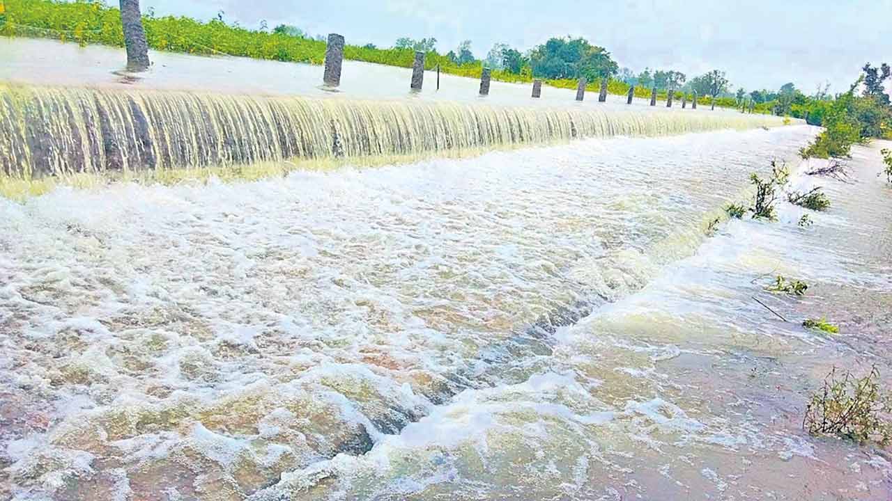 ప్రాజెక్టులకు జలకళ