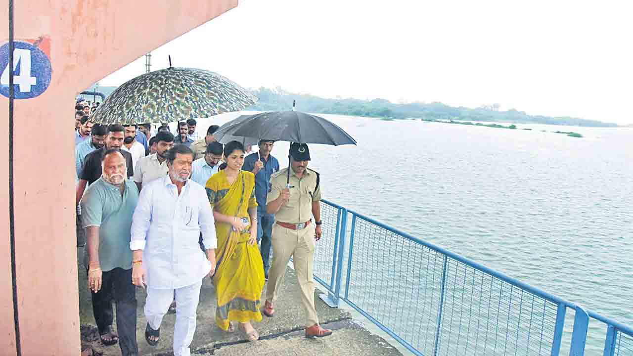 ప్రాణనష్టం జరగకుండా చర్యలు చేపట్టాలి